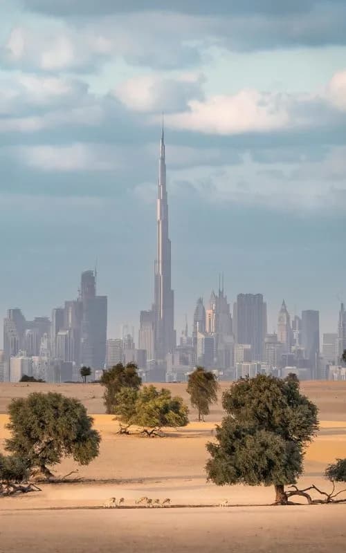 Il tennis di lusso nella città del futuro — immagine 2