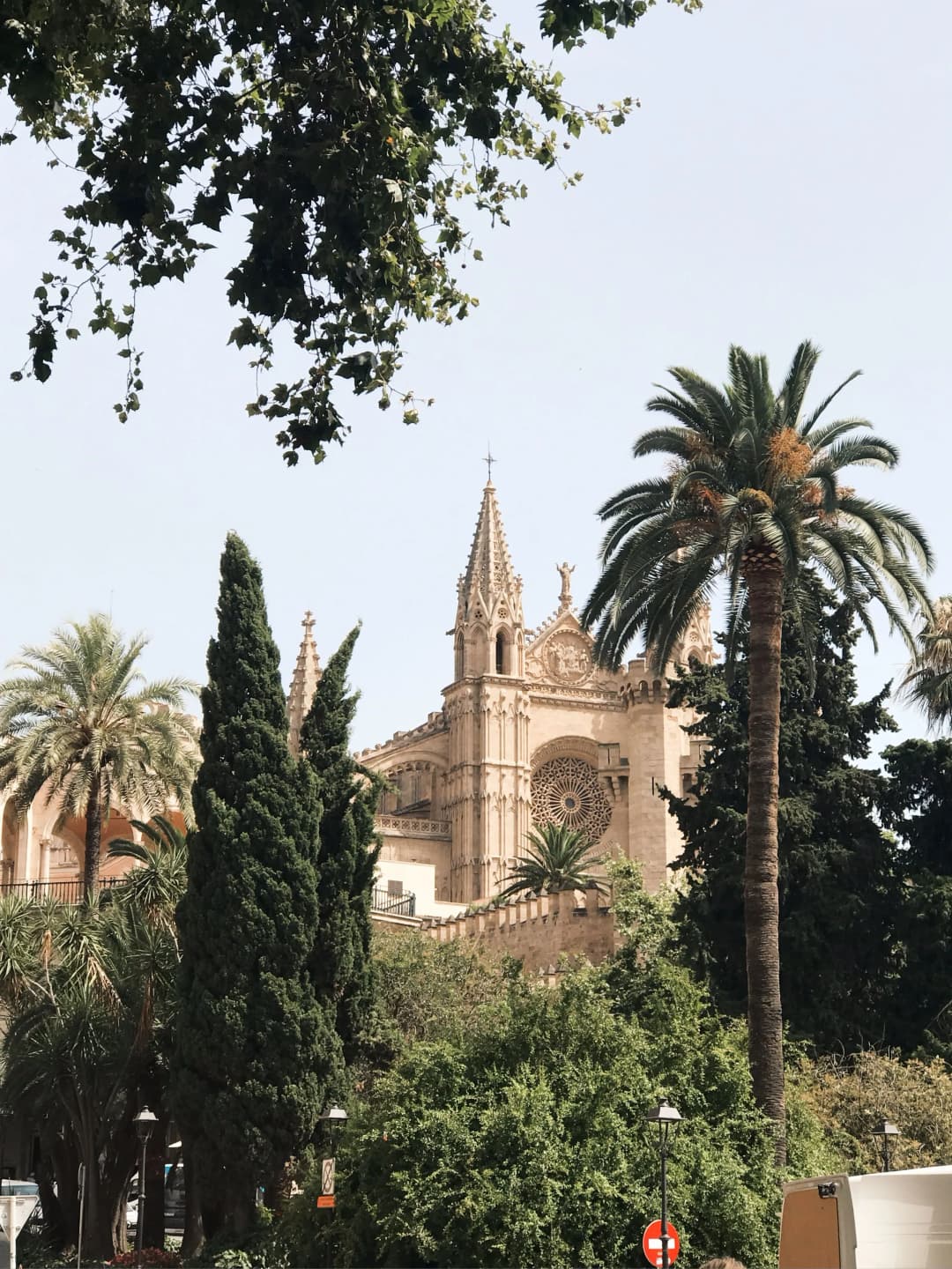 Mallorca: esperienza Wimbledon Grass — immagine 8