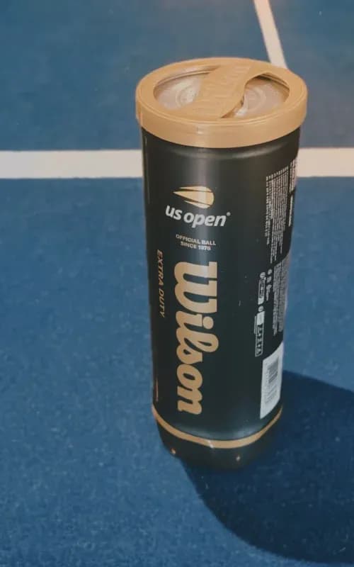 Gioca agli US Open — immagine 4