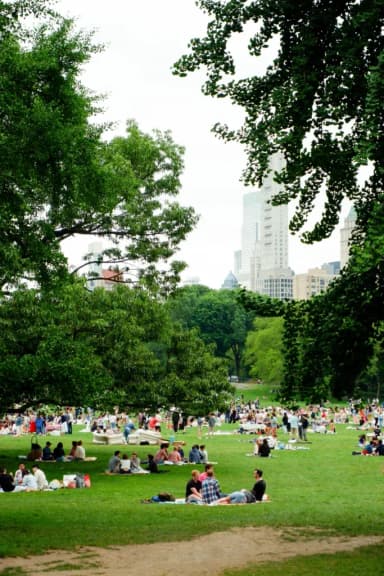 Manhattan Experience
